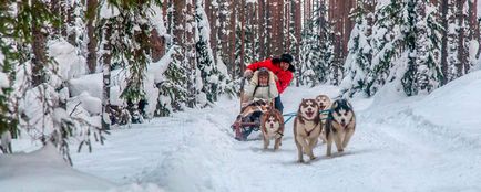 Látogatás Husky - kutyaszán Karélia