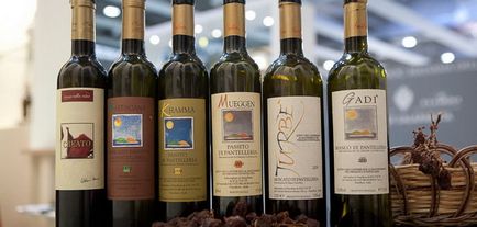 Borok Olaszország legjobb fehér és vörös borok olasz és olasz borokat fotó
