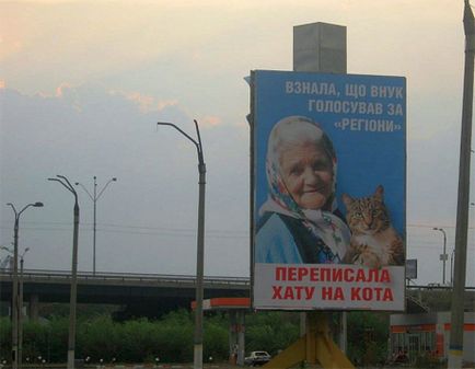 Proprietarul bordului bunicii cu pisica în terapie intensivă, adevărul ucrainean