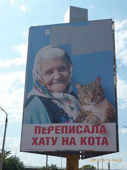 Proprietarul bordului bunicii cu pisica în terapie intensivă, adevărul ucrainean