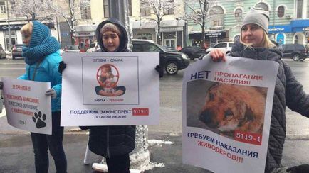 În Harkov, zooștii solicită biroului primarului să nu ucidă câinii fără stăpân