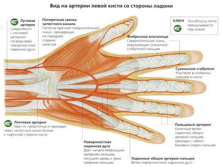 Хрускіт пальців шкідливий чи ні