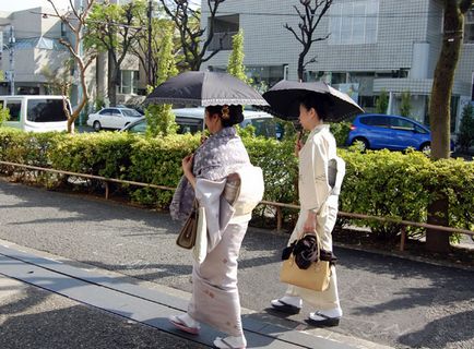 Japonia în aprilie - floarea cireșului