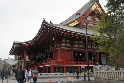 Japán áprilisban - cseresznye virágok (Route Tokió Osaka) Japán áprilisban - cseresznyevirág