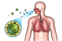 Este angina invulnerabilă?