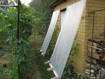 Árnyékolt háló Greenhouse, miért van szükség árnyékban típusú hálók használata az előnyei,