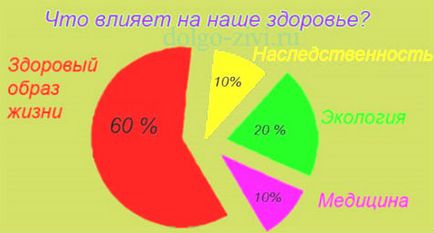 Здоровий спосіб життя в філософії сайту