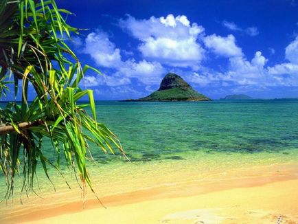 Life in Hawaii (élet a Hawaii-szigetek) Az élet Hawaii