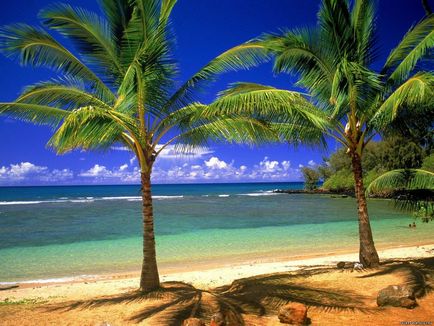 Life in Hawaii (élet a Hawaii-szigetek) Az élet Hawaii