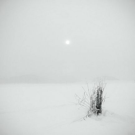 Fotografie de iarnă