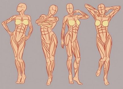 10 Interesante despre mușchii din corpul uman