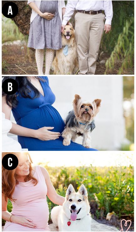 50 Idei pentru o imagine frumoasă a unei femei însărcinate