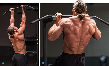 Анатомічна будова м'язів спини і вправи для тренування