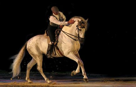 Calul Andaluz - istoria rasei, fotografii, fapte interesante