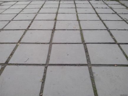 Армована тротуарна плитка, павемент-харків