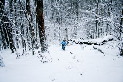 Ascensky Ice Pestera 1