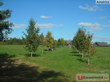 Belarusul Muzeul de Stat de Arhitectură și Viață Populară, despre, Belarus - 