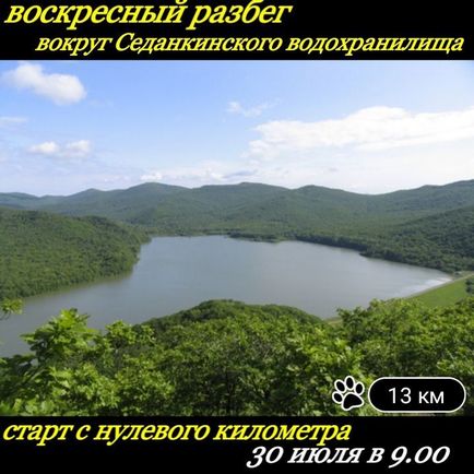 Безкоштовний Кременчук виставка - роздача кішок, сучасні танці і фридайвинг