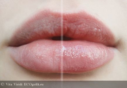 Lip Gloss gondoskodó №2 sangria Etheria - át ekoblogera vita viridi