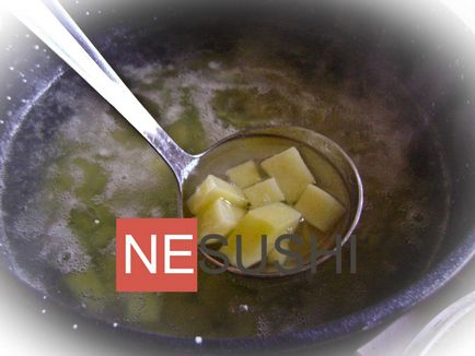 Borsch cu tocană