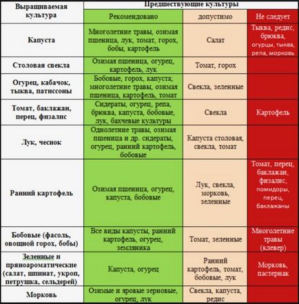 Ce poți să plantezi după usturoi pentru anul viitor