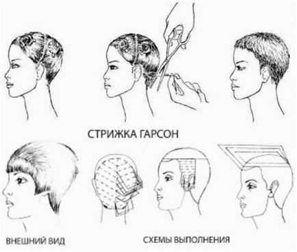 Mi ápolás a pincér, hogyan kell csinálni a haját 7 egyszerű lépésben