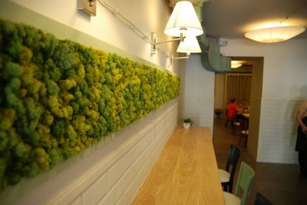 Moss decorativ