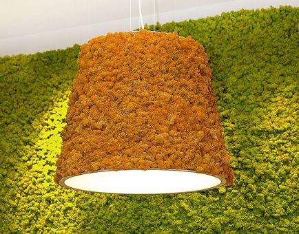 Moss decorativ