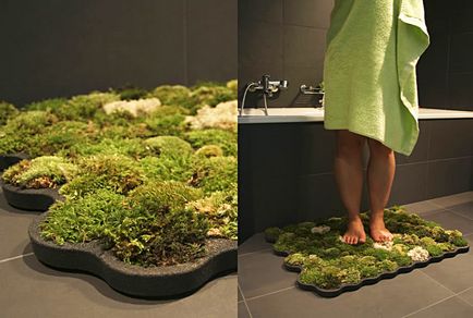 Moss decorativ