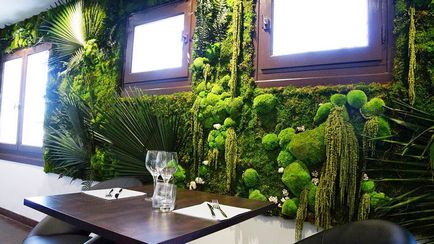 Moss decorativ