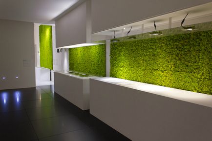 Moss decorativ