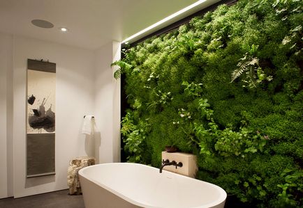 Moss decorativ