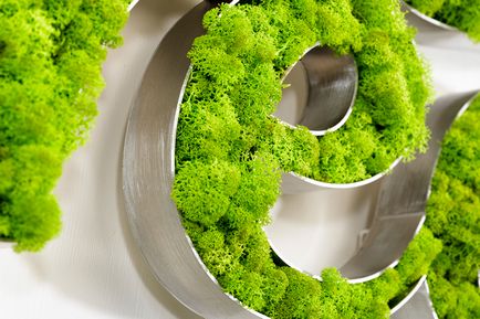 Moss decorativ