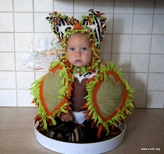 Costume de carnaval pentru copii cu mâinile lor, mame de bloguri