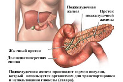 Diabetul și ficatul de care aveți nevoie pentru tratarea bolilor