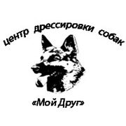 Instruirea animalelor domestice în Krasnodar, 2 furnizori de servicii de încredere