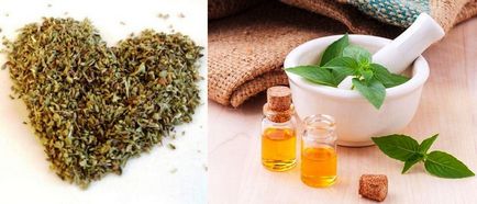 Oregano și cimbru sunt una și aceeași diferență, proprietăți medicinale