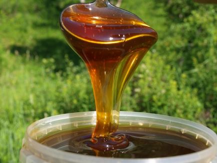 Gyagilev méz hasznos tulajdonságok és ellenjavallatok
