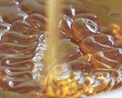 Diaghilev miere - proprietăți utile și contraindicații ale soiului
