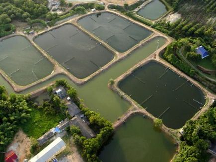 Thailanda exotică în Thailanda