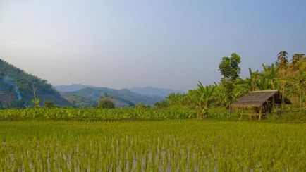 Thailanda exotică în Thailanda