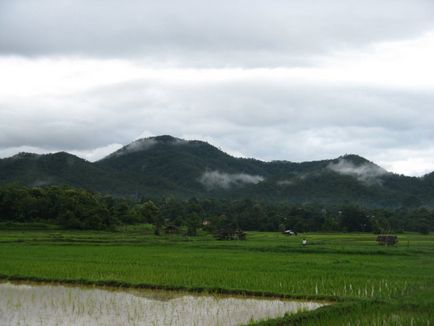 Thailanda exotică în Thailanda