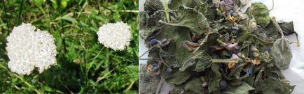 Fitogeni de cimbru, oregano, balsam de lamaie, menta, lavanda