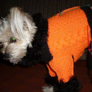 Forum aspen - tricotat pentru câini și pisici, pulovere, pulovere, piei de câine, salopete, pălării,
