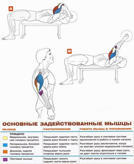 Французький жим правильна техніка виконання