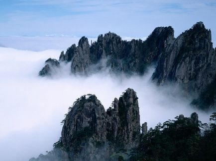 Halucinogene Guangdong Oolongs (chaozhou cha)