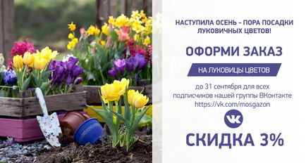 Газон з маргаритками 5 кг «зелений килим» - інтернет-магазин московські газони