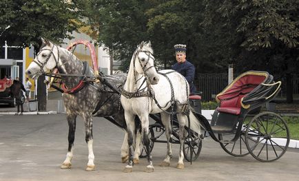 Де покататися на конях в москві