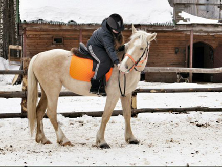 Де в Москві покататися на конях