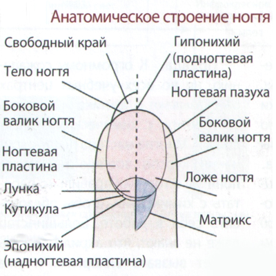 Гель рідкі стрази купити в москве